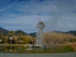 California2007-2008-027